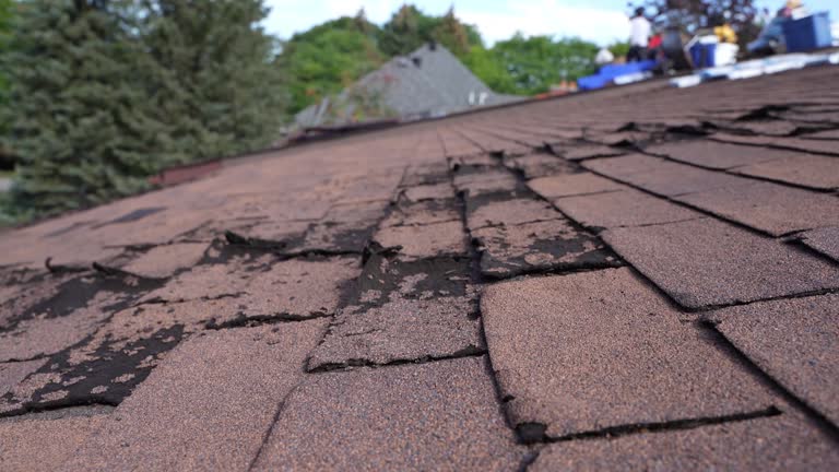 Karnes City, TX Roofing Service Company