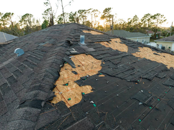 Best Chimney Flashing Repair  in Karnes City, TX