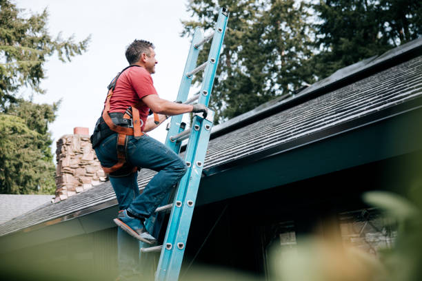 Best Asphalt Shingle Roofing  in Karnes City, TX